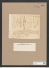 Navicula ? trigramma Fresen. (de-Toni-Nr.: Genus 1, Species 691) Zeichnungen Sammlung Grunow Nr. 1268 (NHMW-BOT-W0367923)